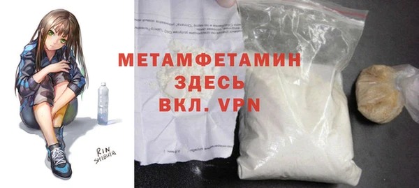прущие грибы Мурманск