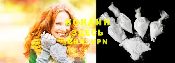 твердый Коряжма