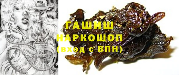 гидра Корсаков