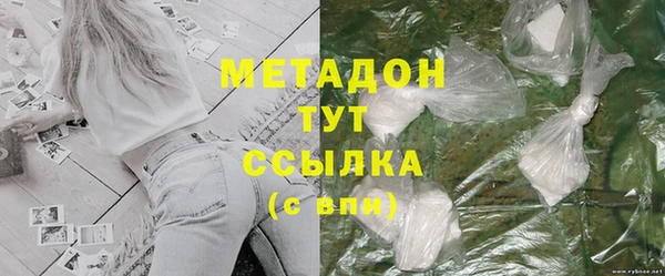 прущие грибы Мурманск
