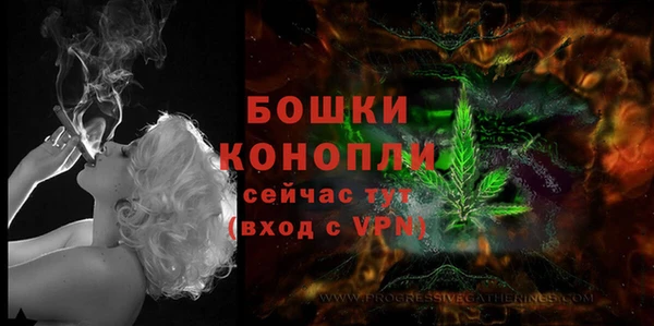 сатива Кострома