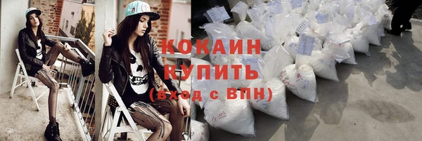 сатива Кострома