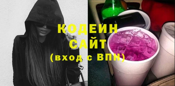 гидра Корсаков