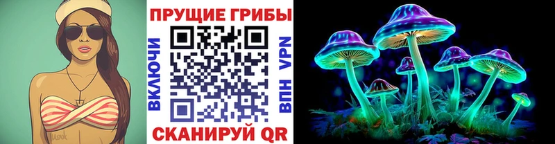 Галлюциногенные грибы Psilocybine cubensis  где купить наркотик  Россошь 