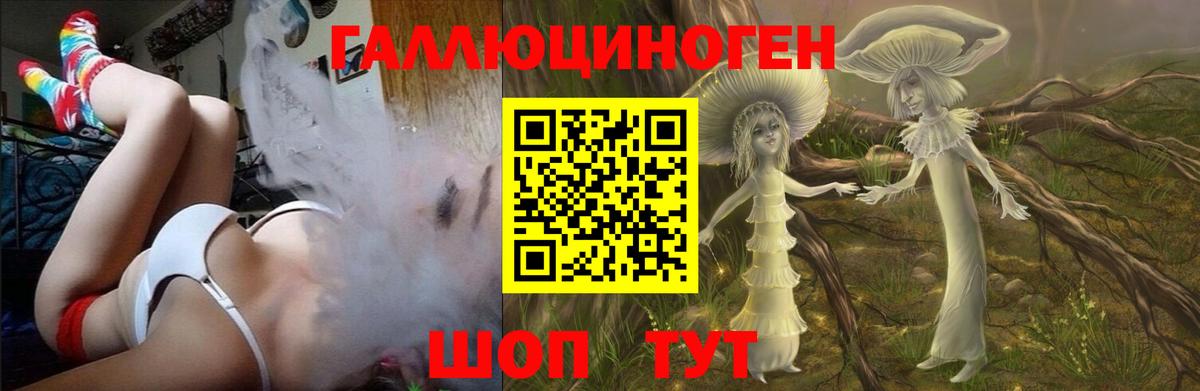 Галлюциногенные грибы MAGIC MUSHROOMS  Вход с VPN  Россошь 